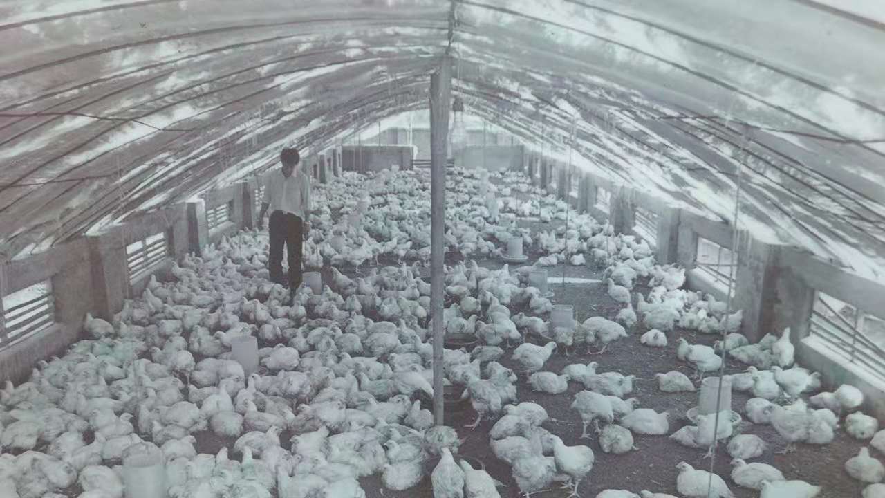 首页- 不朽情缘电子游戏官网