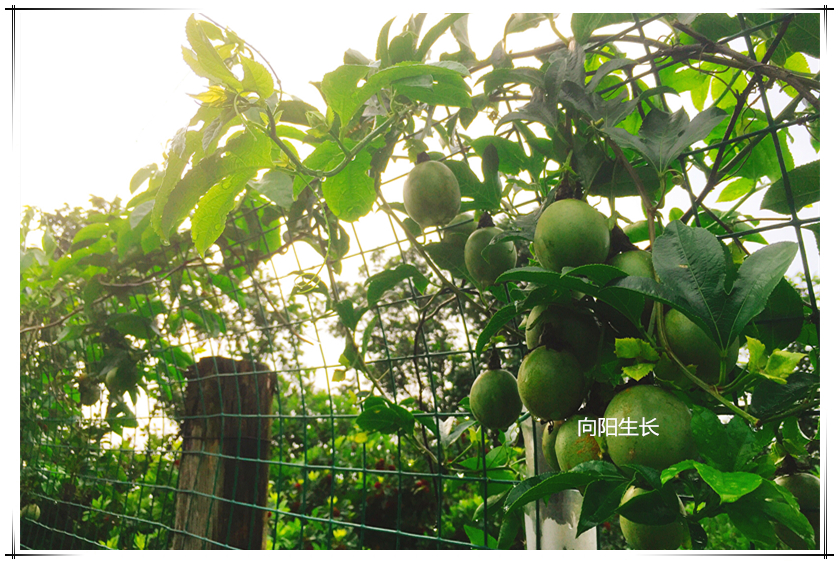 首页- 不朽情缘电子游戏官网