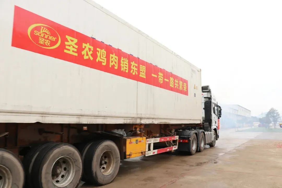 首页- 不朽情缘电子游戏官网