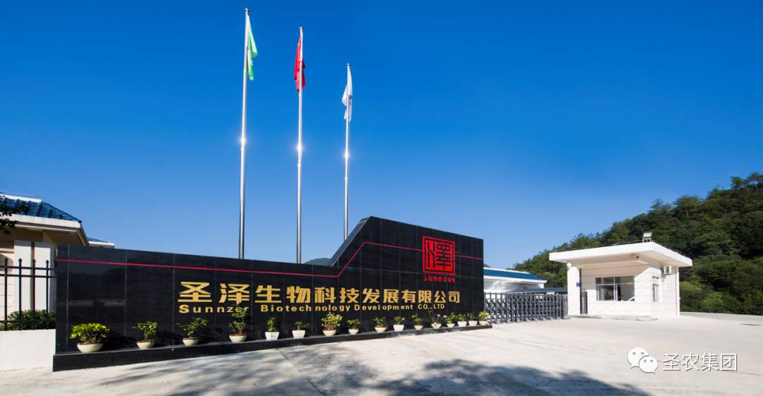 首页- 不朽情缘电子游戏官网