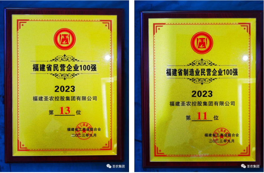 首页- 不朽情缘电子游戏官网